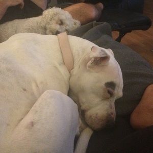 Meet your Posher, Kate