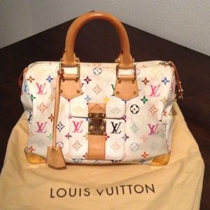 Louis Vuitton Multicolor Speedy