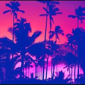 Meet your Posher, Ellie