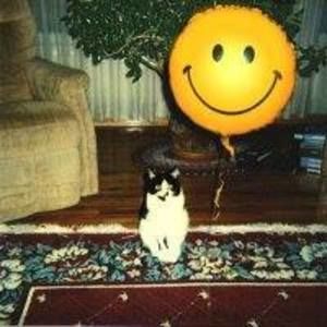 Meet your Posher, Michele