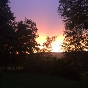 Meet your Posher, Violet