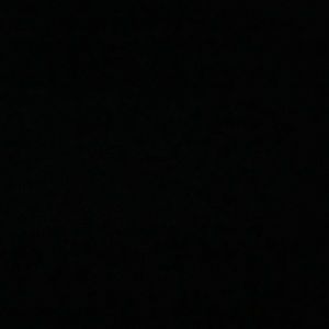 Meet your Posher, Willy