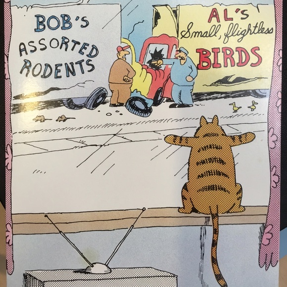 Meet your Posher, Sheila - Picture 2 of 4