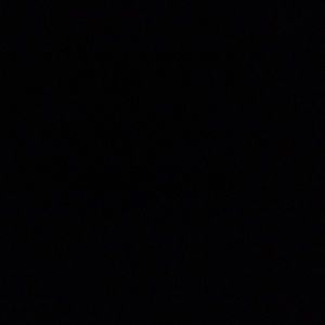 Meet your Posher, Priscilla