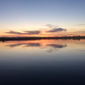 Meet your Posher, Bailey