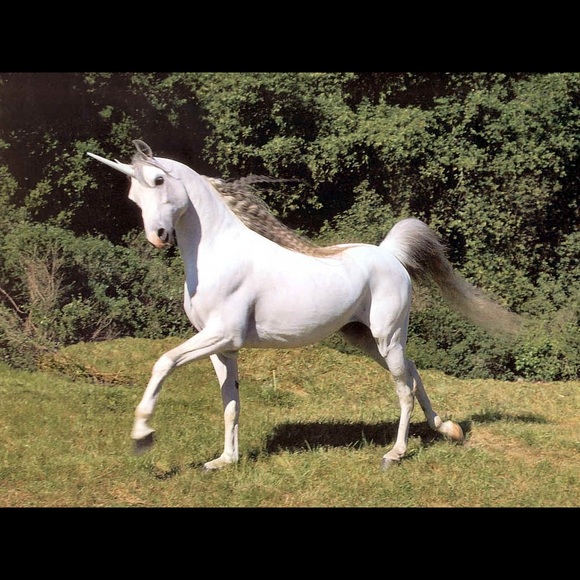 Meet your Posher, Alexander