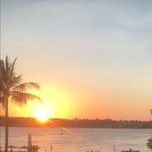 Meet your Posher, Joanne