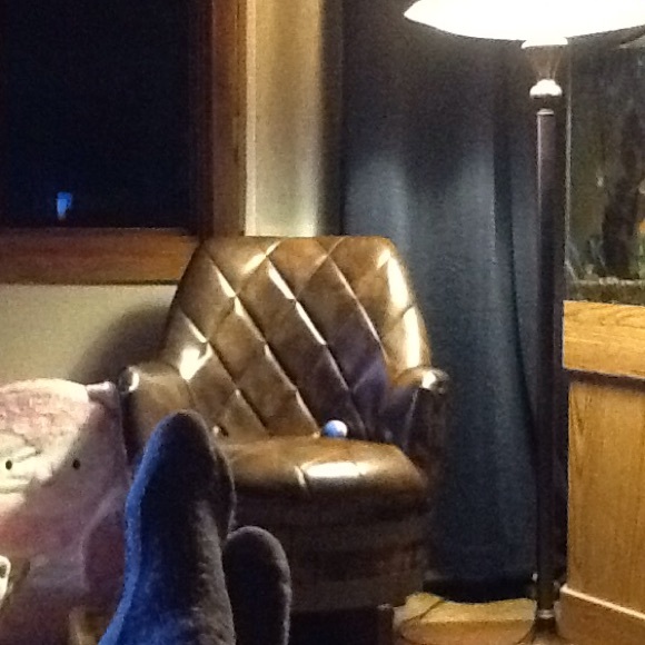 Meet your Posher, Haley