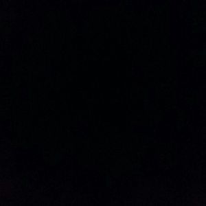 Meet your Posher, Audrey