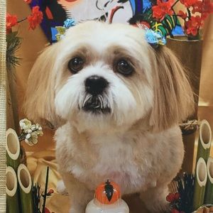 Meet your Posher, Lynn