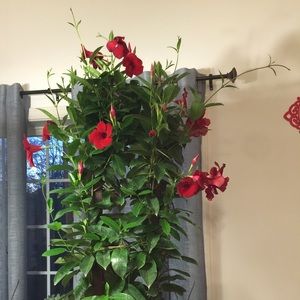 Meet your Posher, Mai