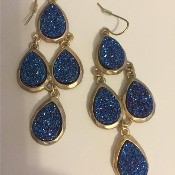 NWOT Earrings