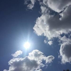 Meet your Posher, Celine