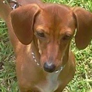 Meet your Posher, Angie