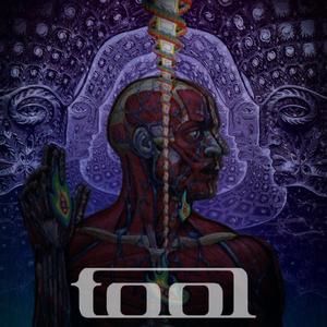 Meet your Posher, Celeste