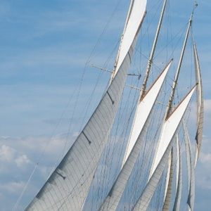 Meet your Posher, Alan