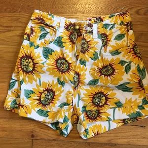 American Apparel Sunflower High Waisted Shorts