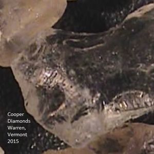 Meet your Posher, Patty