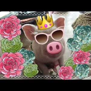 Meet your Posher, Tiffany