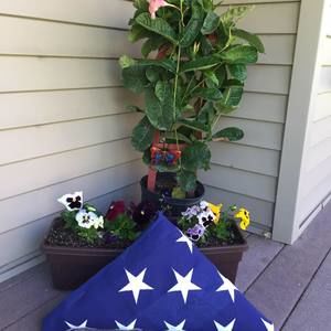 Meet your Posher, Kristin