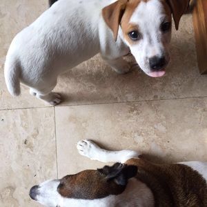 Meet your Posher, Mia