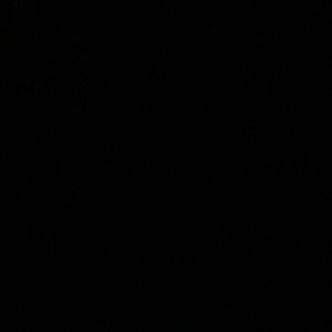 Meet your Posher, Jasz