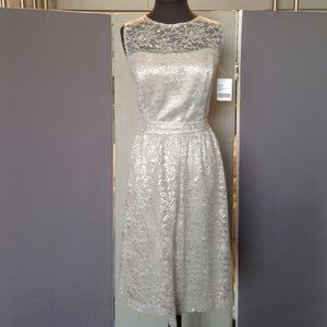Silver sparkle dress