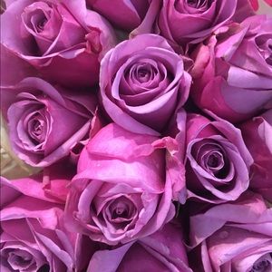 Meet your Posher, Roodabeh