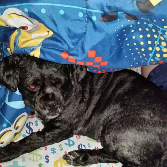 Meet your Posher, Heather - Picture 3 of 4