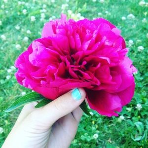 Meet your Posher, Rosie