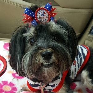 Meet your Posher, Monique