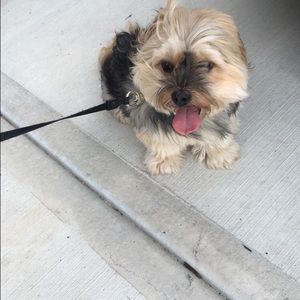 Meet your Posher, Kathleen