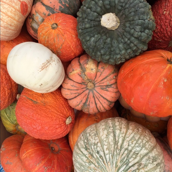 Meet your Posher, Brandy - Picture 2 of 2