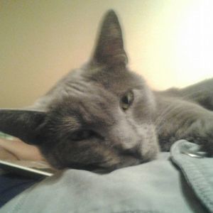 Meet your Posher, Diane