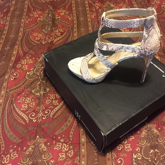 Snakeskin inc