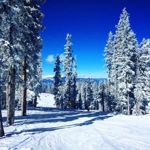 Meet your Posher, Allie