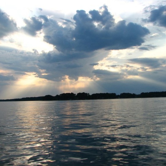 Meet your Posher, Tammy - Picture 4 of 8