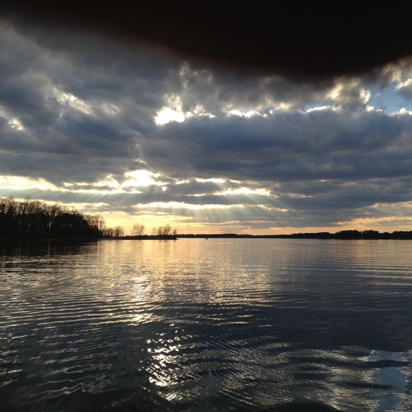 Meet your Posher, Tammy - Picture 3 of 8