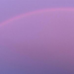 Meet your Posher, Dorothy