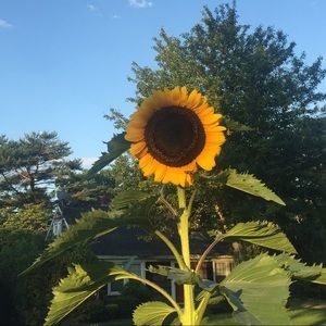 Meet your Posher, Maureen