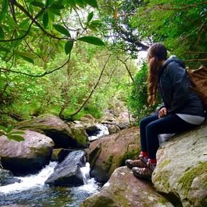 Meet your Posher, Patty