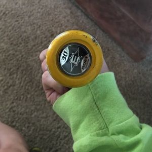 SYNCE Easton Softball Bat
