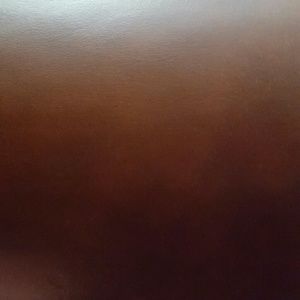 Meet your Posher, Brandy