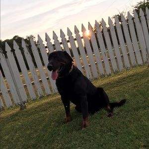 Meet your Posher, Anna