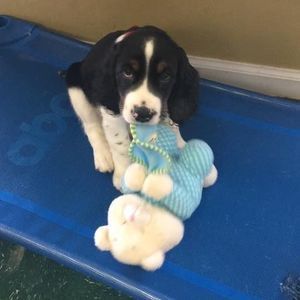 Meet your Posher, Leslie