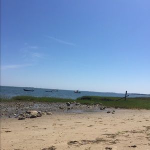 Meet your Posher, Casey