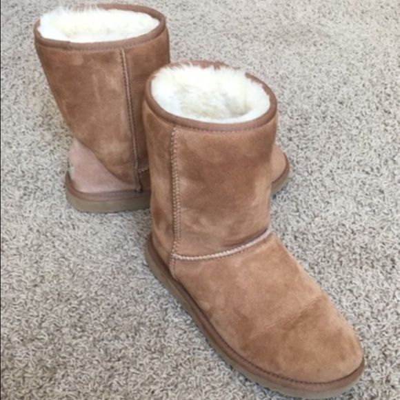 Chestnut Short Uggs