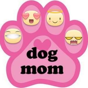 Meet your Posher, Lura