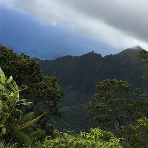 Meet your Posher, Joanna