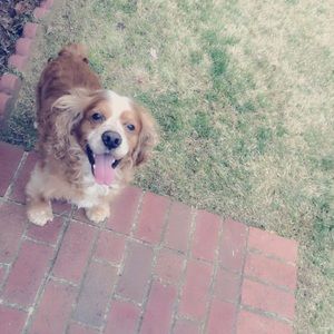 Meet your Posher, Olivia